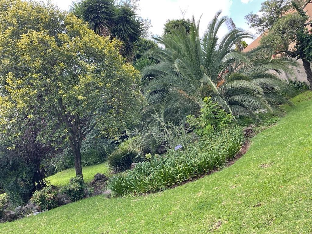 לינה וארוחת בוקר יוהנסבורג The South Way מראה חיצוני תמונה
